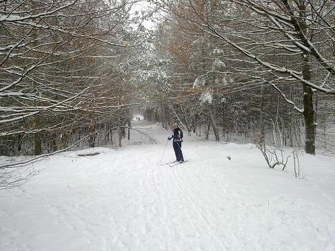 Neerden.nl